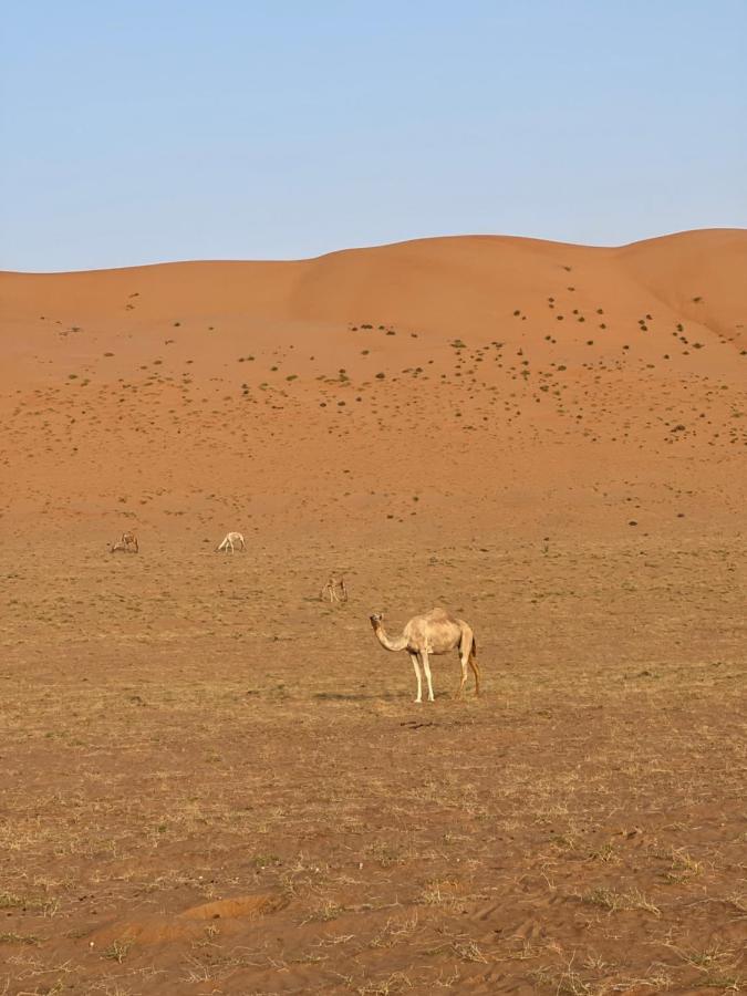 Thousand Stars Desert Camp Bidiya Экстерьер фото