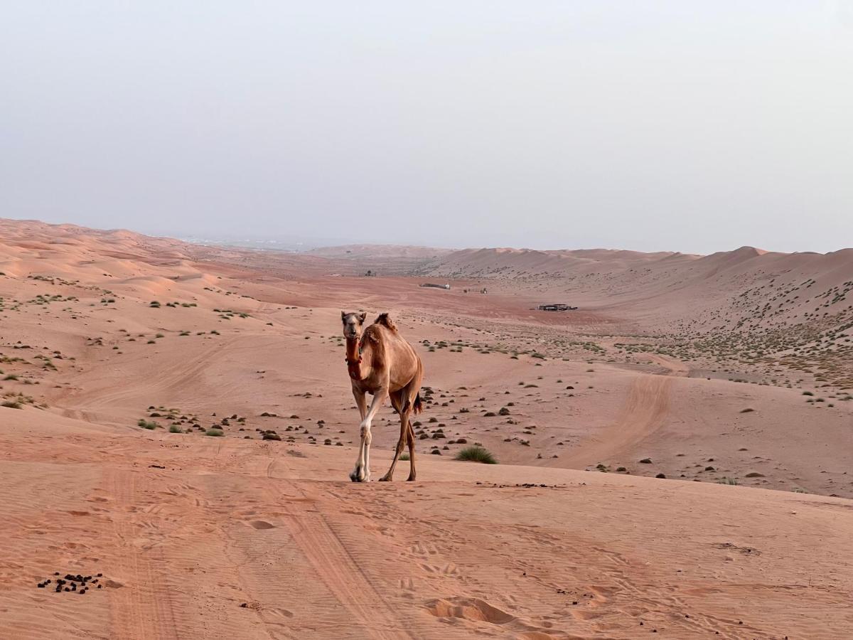 Thousand Stars Desert Camp Bidiya Экстерьер фото