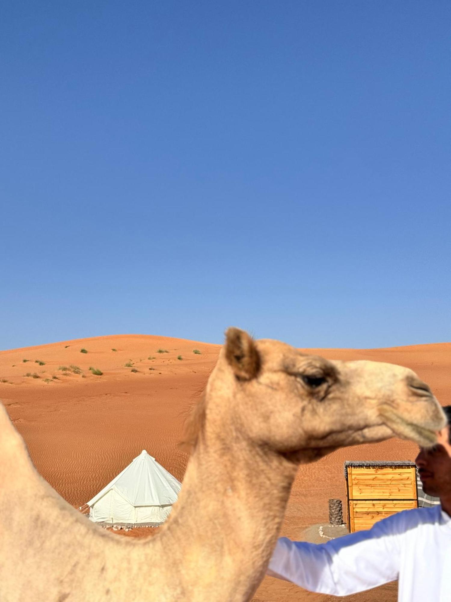 Thousand Stars Desert Camp Bidiya Экстерьер фото